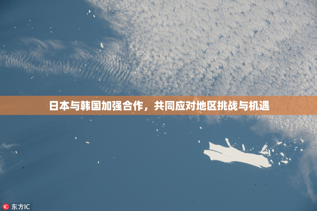 日本与韩国加强合作，共同应对地区挑战与机遇