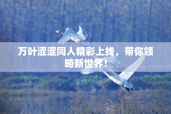 万叶涩涩同人精彩上线，带你领略新世界！