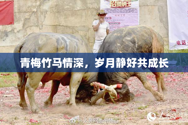 青梅竹马情深，岁月静好共成长