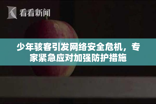 少年骇客引发网络安全危机，专家紧急应对加强防护措施