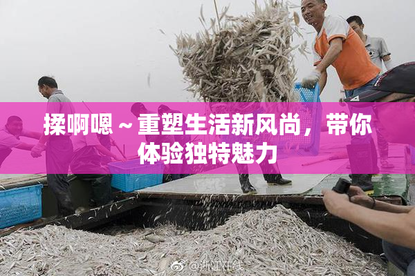 揉啊嗯～重塑生活新风尚，带你体验独特魅力