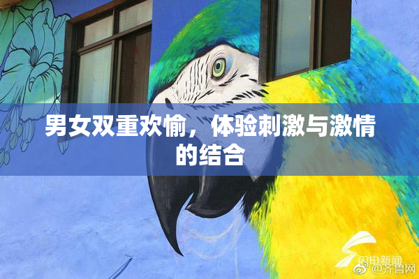 男女双重欢愉，体验刺激与激情的结合