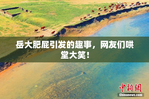 岳大肥屁引发的趣事，网友们哄堂大笑！