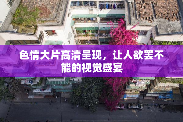 色情大片高清呈现，让人欲罢不能的视觉盛宴