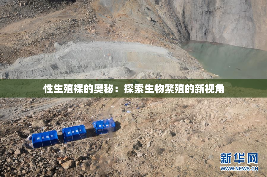 性生殖裸的奥秘：探索生物繁殖的新视角