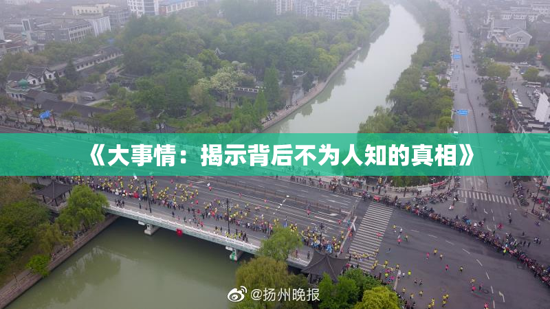 《大事情：揭示背后不为人知的真相》