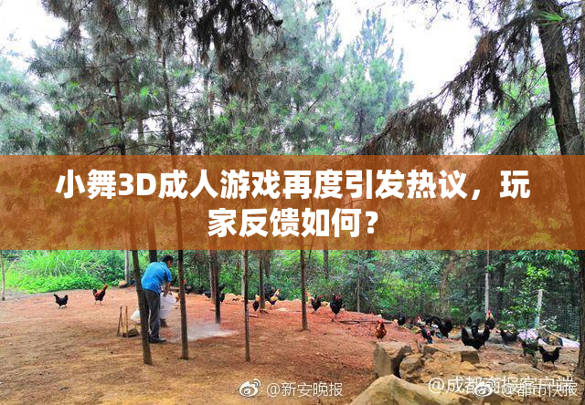 小舞3D成人游戏再度引发热议，玩家反馈如何？