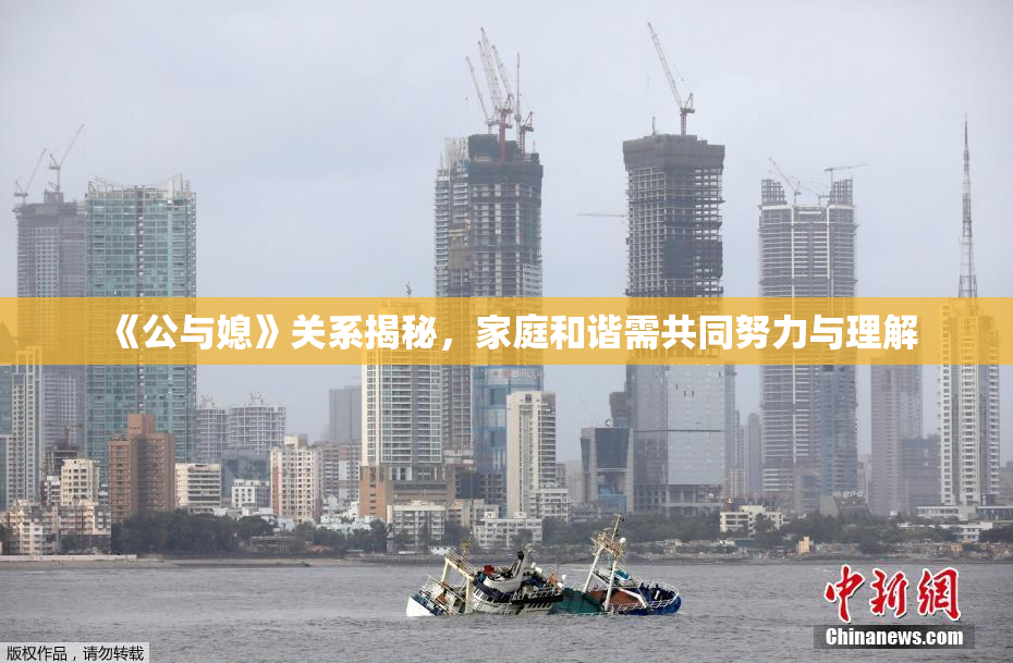 《公与媳》关系揭秘，家庭和谐需共同努力与理解