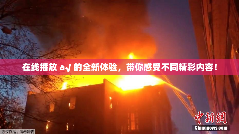 在线播放 a√ 的全新体验，带你感受不同精彩内容！
