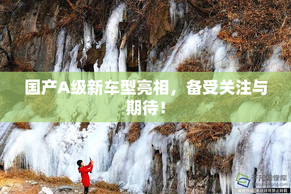 国产A级新车型亮相，备受关注与期待！