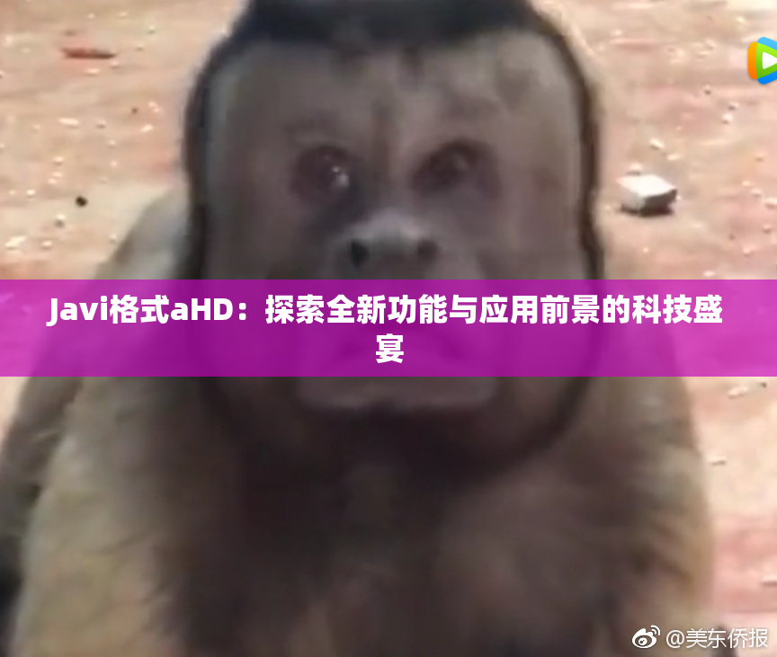 Javi格式aHD：探索全新功能与应用前景的科技盛宴