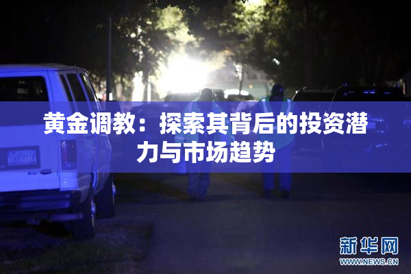 黄金调教：探索其背后的投资潜力与市场趋势