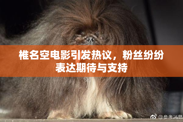 椎名空电影引发热议，粉丝纷纷表达期待与支持