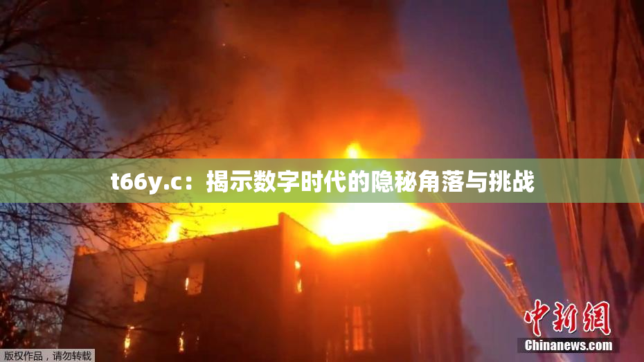 t66y.c：揭示数字时代的隐秘角落与挑战