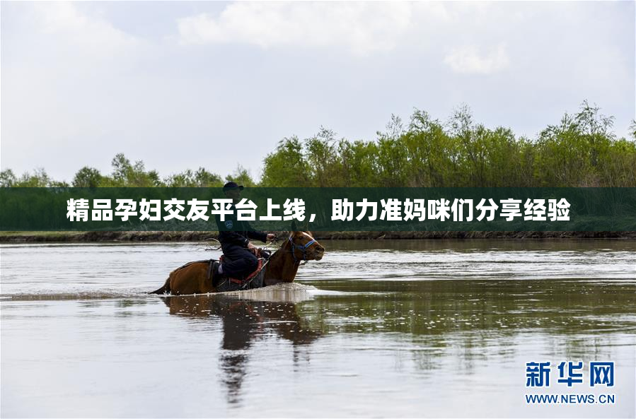 精品孕妇交友平台上线，助力准妈咪们分享经验