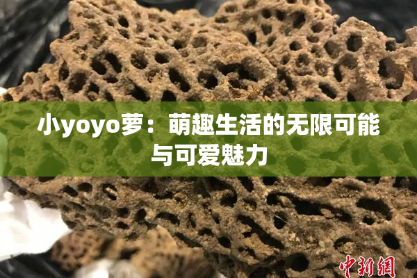 小yoyo萝：萌趣生活的无限可能与可爱魅力
