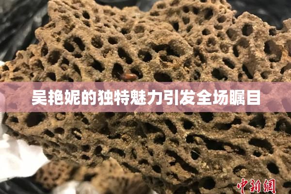 吴艳妮的独特魅力引发全场瞩目