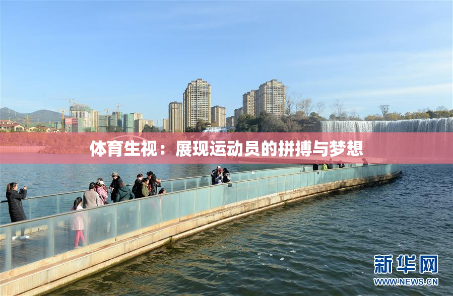体育生视：展现运动员的拼搏与梦想