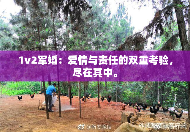 1v2军婚：爱情与责任的双重考验，尽在其中。