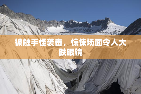 被触手怪袭击，惊悚场面令人大跌眼镜