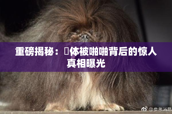 重磅揭秘：祼体被啪啪背后的惊人真相曝光