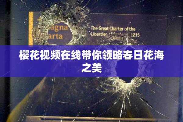 樱花视频在线带你领略春日花海之美