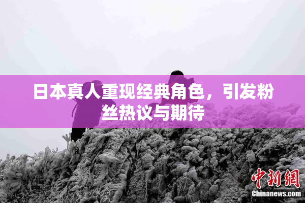 日本真人重现经典角色，引发粉丝热议与期待