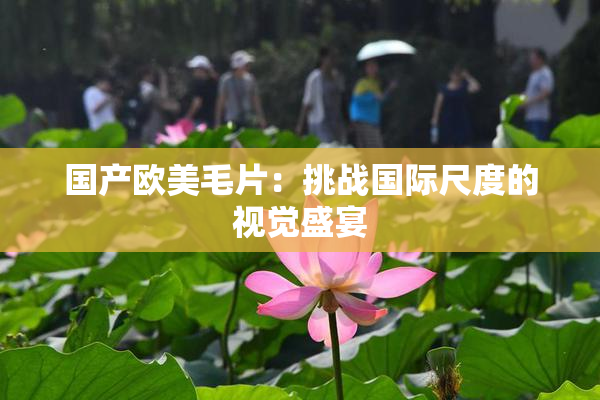 国产欧美毛片：挑战国际尺度的视觉盛宴