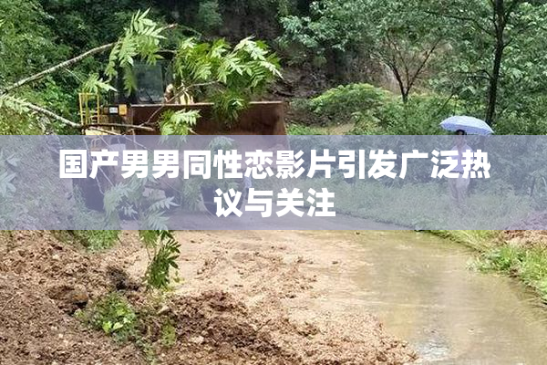 国产男男同性恋影片引发广泛热议与关注