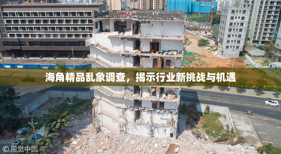 海角精品乱象调查，揭示行业新挑战与机遇
