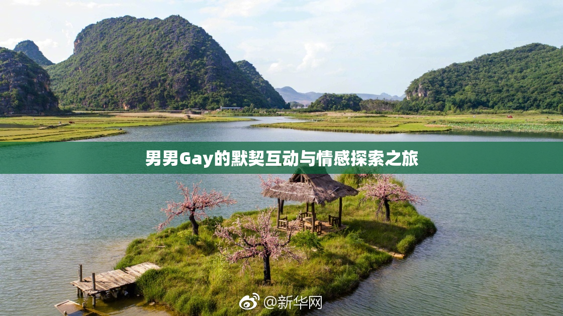 男男Gay的默契互动与情感探索之旅