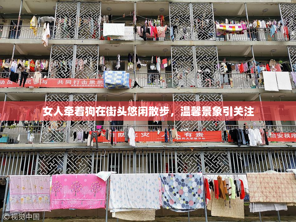 女人牵着狗在街头悠闲散步，温馨景象引关注