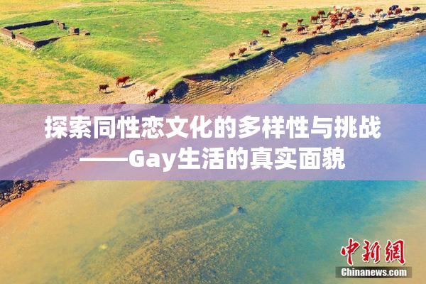 探索同性恋文化的多样性与挑战——Gay生活的真实面貌