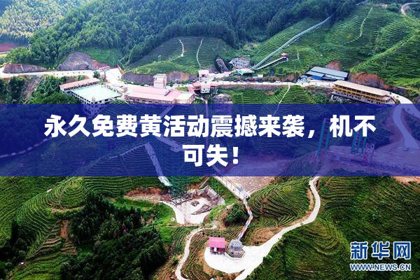 永久免费黄活动震撼来袭，机不可失！