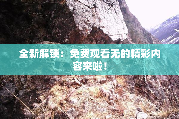 全新解锁：免费观看无的精彩内容来啦！