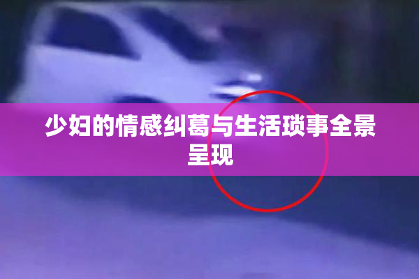 少妇的情感纠葛与生活琐事全景呈现