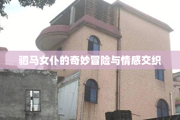 驷马女仆的奇妙冒险与情感交织