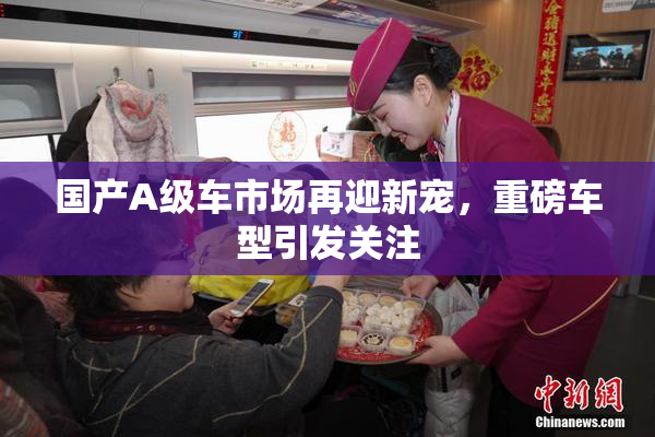国产A级车市场再迎新宠，重磅车型引发关注