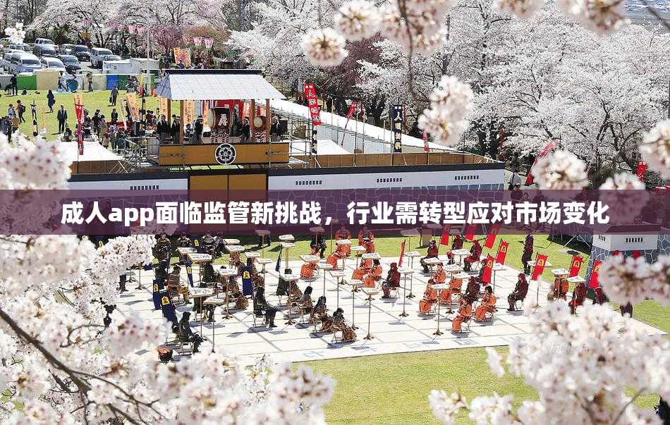 成人app面临监管新挑战，行业需转型应对市场变化