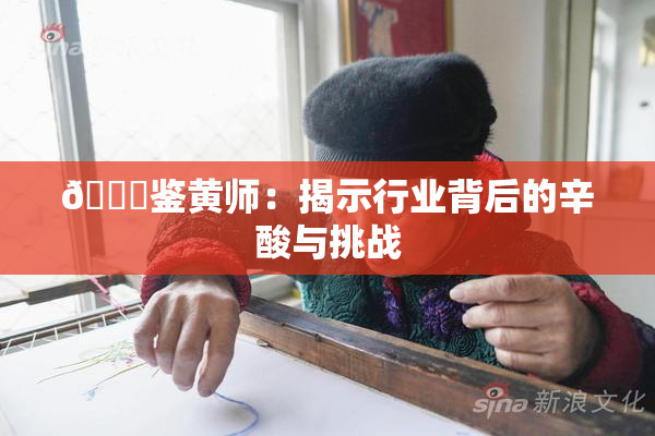 🔞鉴黄师：揭示行业背后的辛酸与挑战