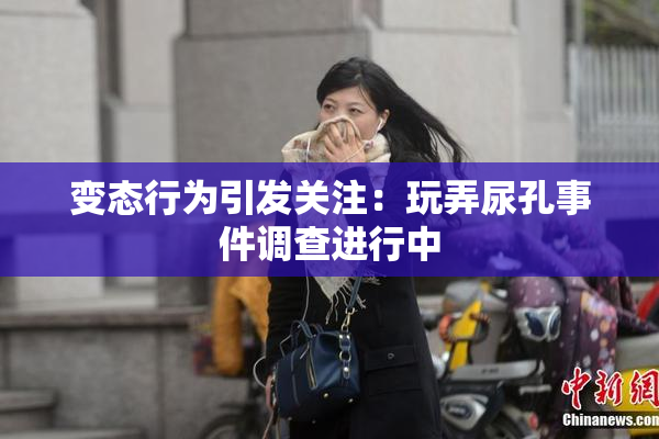 变态行为引发关注：玩弄尿孔事件调查进行中