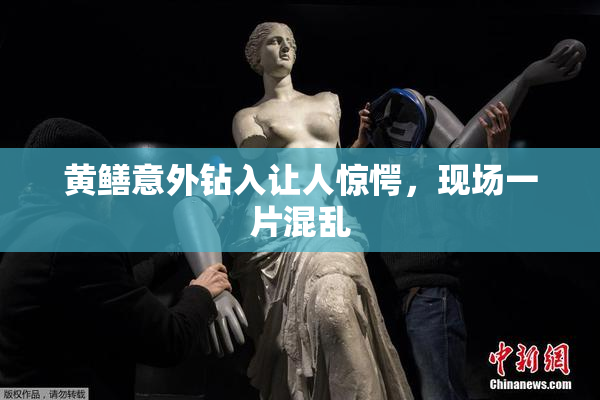 黄鳝意外钻入让人惊愕，现场一片混乱