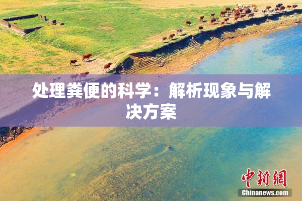 处理粪便的科学：解析现象与解决方案