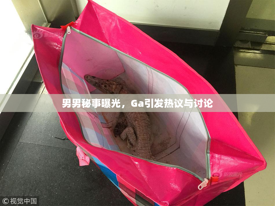 男男秘事曝光，Ga引发热议与讨论