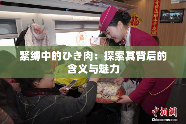 紧缚中的ひき肉：探索其背后的含义与魅力