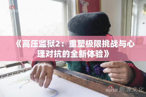 《高压监狱2：重塑极限挑战与心理对抗的全新体验》