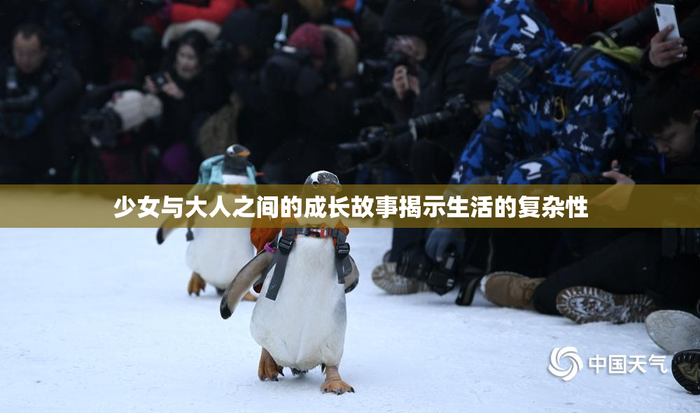 少女与大人之间的成长故事揭示生活的复杂性