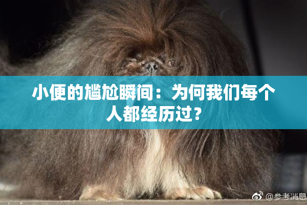 小便的尴尬瞬间：为何我们每个人都经历过？