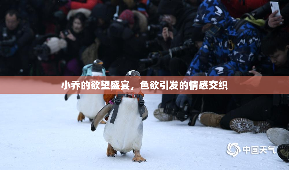 小乔的欲望盛宴，色欲引发的情感交织