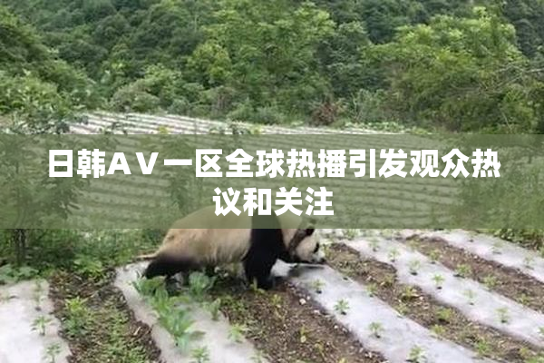 日韩AⅤ一区全球热播引发观众热议和关注